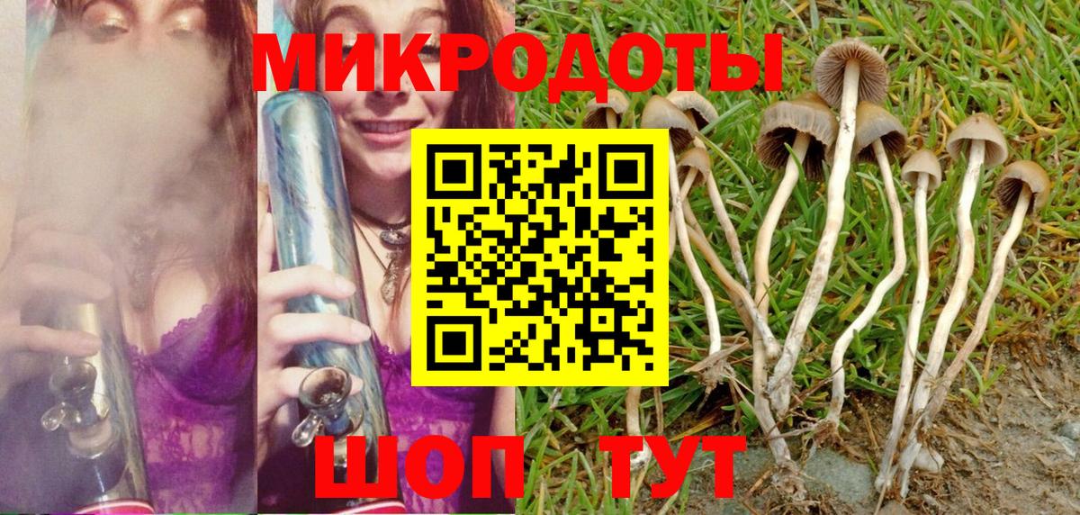 Шелехов  Псилоцибиновые грибы мицелий  Галлюциногенные грибы Psilocybine cubensis  Вход с VPN 
